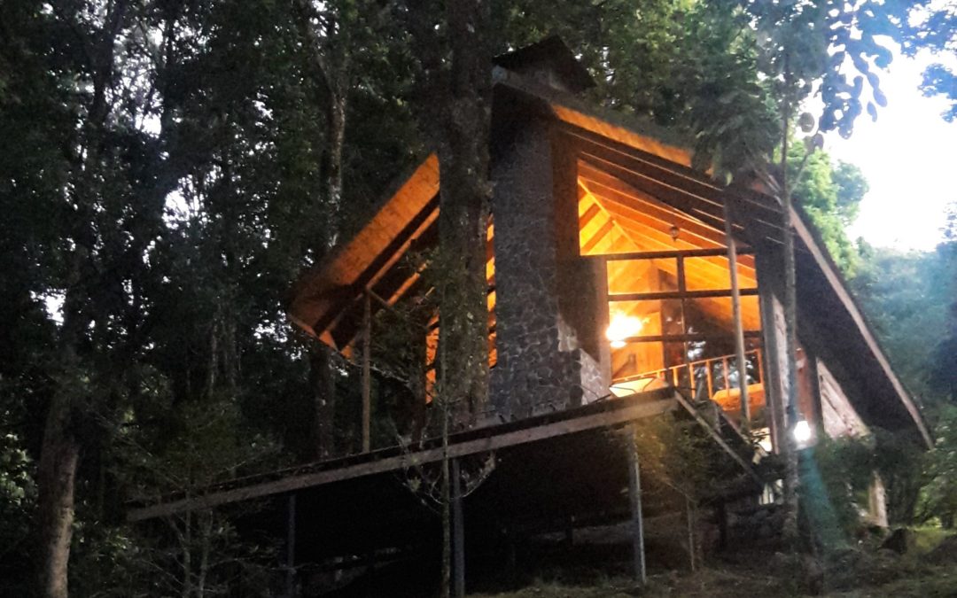 Cabaña de montaña en San Gerardo de Dota, zona de Los Santos, Costa Rica